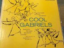 COOL GABRIELS GROOVE RECORDS PROMO COPY RARE ANDY WARHOL COVER