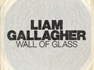 LIAM GALLAGHER DEBUT 7
