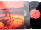 NB15	Alice in Chains	Dirt	(MOVLP037)	EU LP in FOC, Sticker on PVC-Bag UNPLAYED