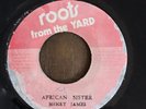 HENRY JAMES-AFRICAN SISTER 45 RARE ROOTS REGGAE JAMAICA UPSETTERS KING TUBBY