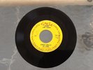 Jerry Lee Lewis Great Balls Of Fire + Whole Lotta Shakin 7