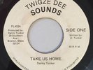DANNY TUCKER - TAKE US HOME - TWIGZE DEE ( RARE ROOTS 7 )