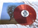 Pink Floyd Brave New World Transparent Bronze Coloured Vinyl LP New