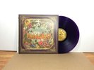 Panic  at the Disco - Pretty Odd LP - MINT Transparent Purple
