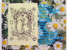 Various - Seeds I: Pop LP Mint- BRED 74 Vinyl 1987 Record