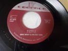 Link Wray Rumble /The Swag rockabilly instros on Cadence mp3