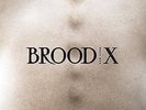 BOSS HOG-BROOD X  VINYL LP NEUF