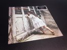 New Violent Femmes-SELF TITLED-RHINO R1 79951 180 GRAM VINYL RECORD *Ships Free*