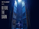 Kate Bush Before The Dawn Live vinyl 4 LP box set +24p booklet