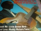 MUDDY WATERS 