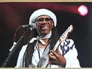 Nile Rodgers Signed Autograph 6x4 Photo Music Freak le Chic Memorabilia & COA