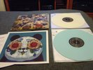 PANDA BEAR PERSON PITCH 2LP VINYL ME PLEASE EXCLUSIVE UNPLAYED NM CONDITION