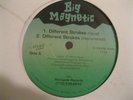 BIG MAGNETIC - DIFFERENT STROKES / WHO GOT DA FLOW.RENEGADE OF FUNK RARE INDiE