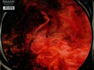Morbid Angel Blessed Are The Sick (Ltd.Vinyl 1500 Stück) (2009)
