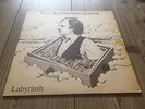 EERO KOIVISTOINEN QUARTET labyrinth VERY RARE FINNISH JAZZ BOMB love records LP