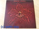 MACHINE HEAD - The Burning Red - LP - Vinyl