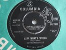 DOWNLINERS SECT baby what's wrong. uk 45 Columbia DB 7300.