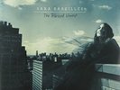Bareilles, Sara-The Blessed Unrest  (US IMPORT)  VINYL LP NEW