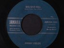 JIMMY FIELDS: Big Bad Bill / Election Day 45 (weird one with echo intro, Texas)