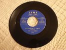 DICK AND DEEDEE  GOODBYE TO LOVE/SWING LOW  LAMA 7780 M-