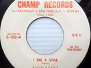 ROULETTES &  AL BROWNE band doowop M- CHAMP 45 I SEE A STAR / COME ON BABY DM832