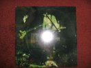 Vinyl Doppel LP Dead Meadow Feathers Matador