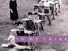 In My Tribe, 10,000 Maniacs, Vinyl, 0081227947248