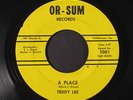 TEDDY LEE: A Place / Rainbow Mender 45 Hear  (Loner-ish Florida weirdness, good