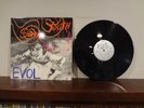 Sonic Youth - EVOL - Vinyl LP - 1986 SST RECORDS - Original RAD PUNK Kim Gordon