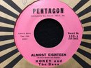 HONEY and The Bees “Almost Eighteen/Please Go Away