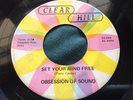 Hear Rare Dayton OH Garage 45 : Obsession Of Sound   Set Your Mind Free   0434