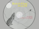 Howlin' Wolf - Moanin' in the Moonlight NEW 180g PICTURE DISC