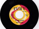 BUDDY SKIPPER-FURY 1044 RARE TEEN NEW BREED ROCKER 45 NO MORE DOGGIN'   M-