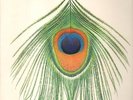 XTC Apple Venus Volume 1 Cooking Vinyl Vinyl LP