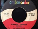 The Loved Ones -Surprise, Surprise- Garage Psych 45 on Ambassador - Hear