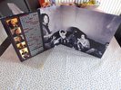 Ryan Adams and The Cardinals 3 and 4 Double LP