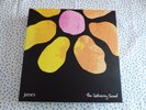 James The Gathering Sound Box Set LP Vinyl CDs, All Albums Complete Tim Booth