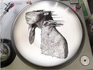 Coldplay The Scientist Rare 12 Promo Picture Disc A Rush Of Blood To The Head LP