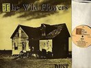 THE WILD FLOWERS dust (original uk) LP EX+/EX CHAPLP 15 folk rock psych indie