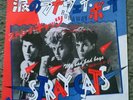 stray cats 7