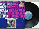 Dave Dee, Dozy, Beaky, Mick & Tich ?– What's In A Name,NL`67,LP,Vinyl: vg+