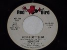 RODDIE JOY-He's So Easy To Love (1965) DJ/Promo RED BIRD 45