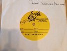 Against Me - Cavalier Eternal / You Look TEST PRESSING No Idea Records
