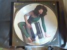 KATE BUSH PICTURE DISC - The Kick Inside