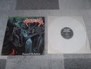 Benediction Transcend the Rubicon first press white Vinyl LP Morgoth Asphyx