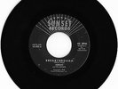 Rare Adrian And The Sunsets 45rpm-Sunset Label 1963-Surf Breakthrough/Cherry Pie