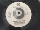 the winstons AMEN BROTHER/COLOR HIM FATHER funk breaks white label promo