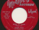 SMOKEY HOGG on Modern —RIVER HIP MAMA— r&b blues rocker 45 | LISTEN