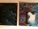 Skinny Puppy Mind The Perpetual Intercourse Vinyl BOTH LP & EP Stairs & Flowers