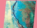 Jon Hassell / Brian Eno / Possible Musics – Fourth World I - Vinyl LP 180g + CD